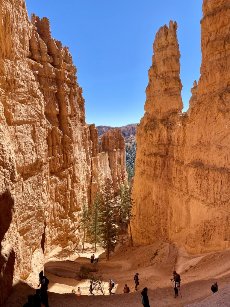 Navajo Trail