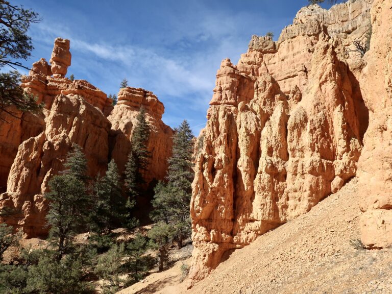 Rote Felsen im Red Canyon