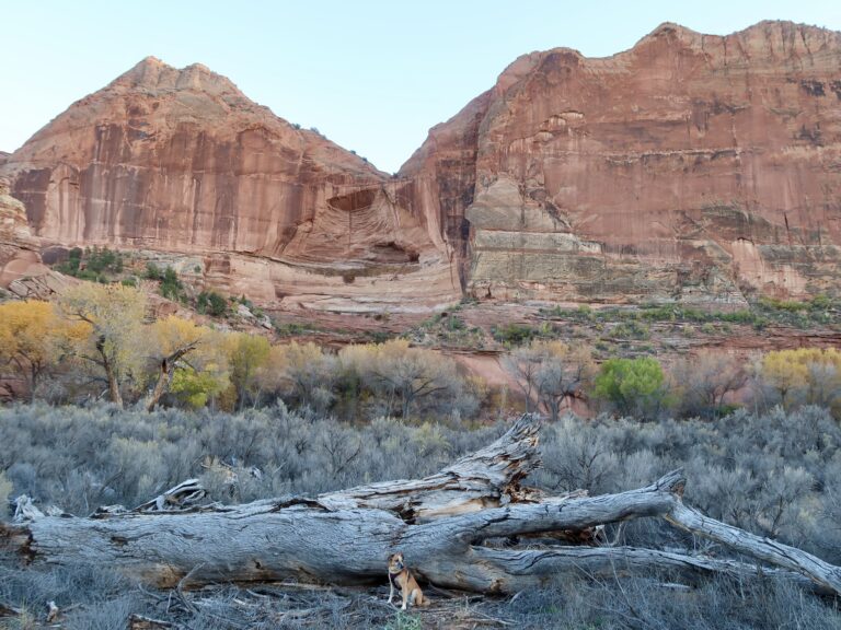 Wandern im Grand Staircase National Monument